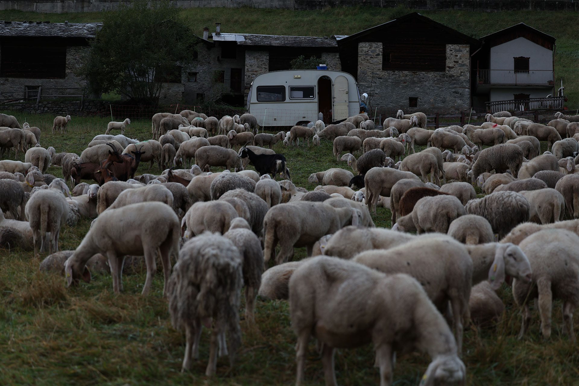 Yuval Avital © JOURNEY SERIES N.15, VALTELLINA, ITALIA, 2025