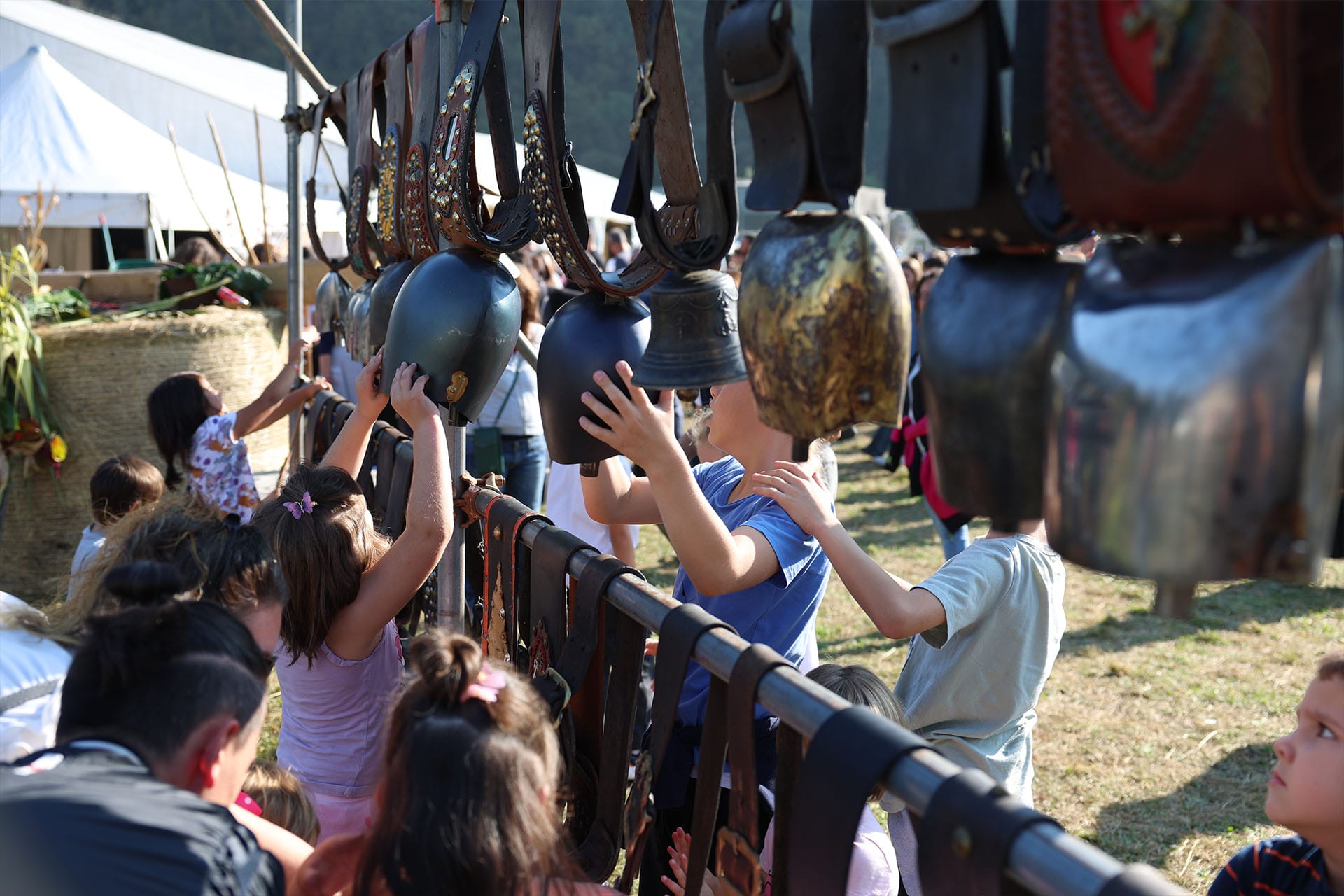 Yuval Avital © JOURNEY SERIES N.29, VALTELLINA, ITALIA, 2025