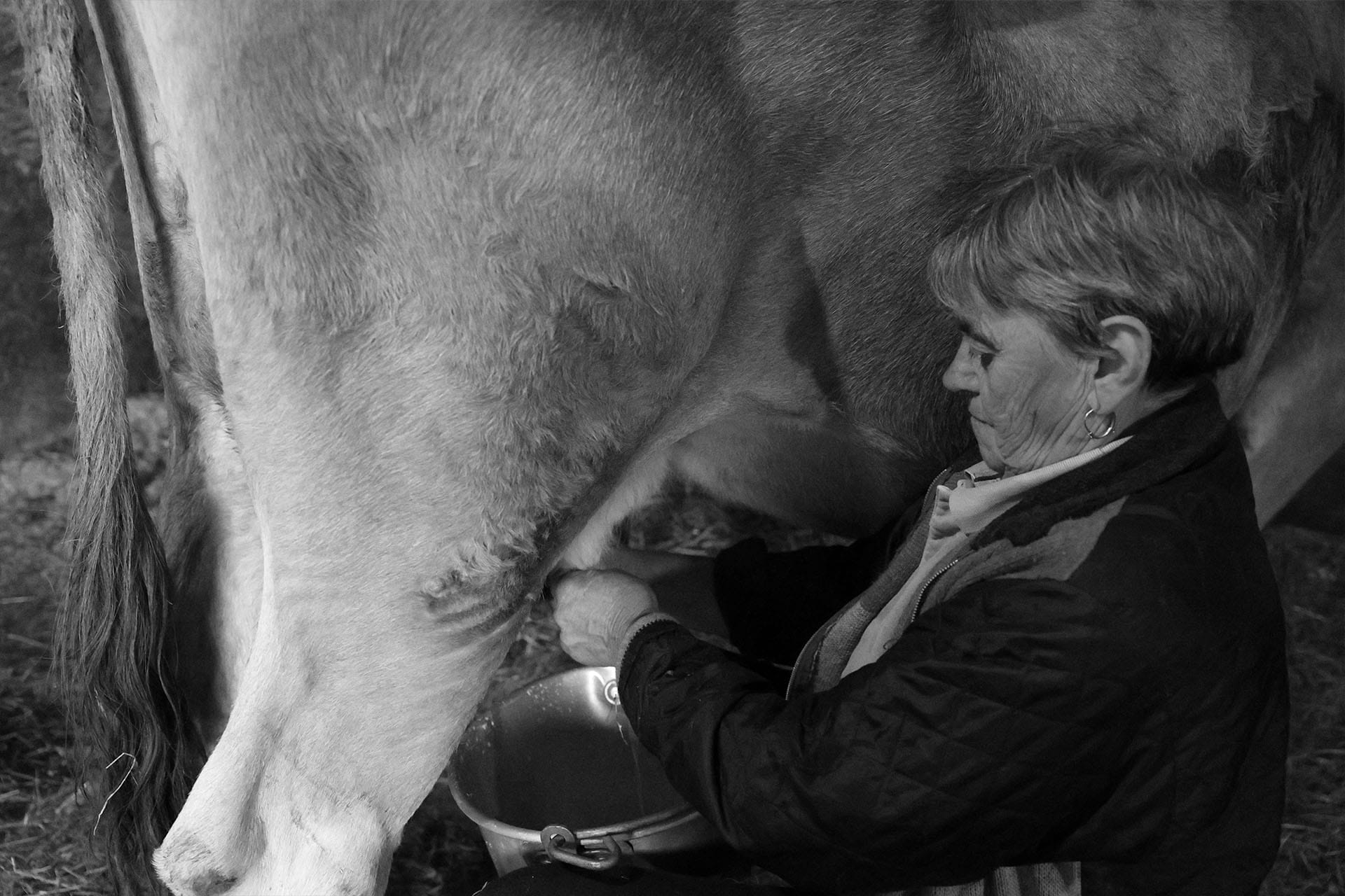 Yuval Avital © JOURNEY SERIES N.41, VALTELLINA, ITALIA, 2025